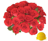 25 GIANT Fragrant Long Stem Roses