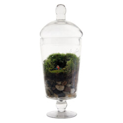 Grow Old With You Terrarium