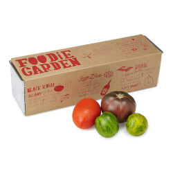 Tomato Takeover Grow Kit
