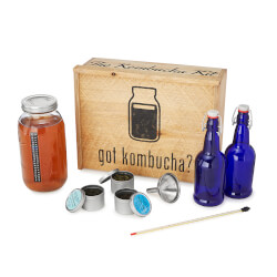 Brew Your Own Kombucha Kit